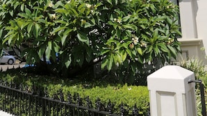 A building with classical architecture, a well-maintained hedge, and a metal fence. - Randwick Lodge (Sydney)