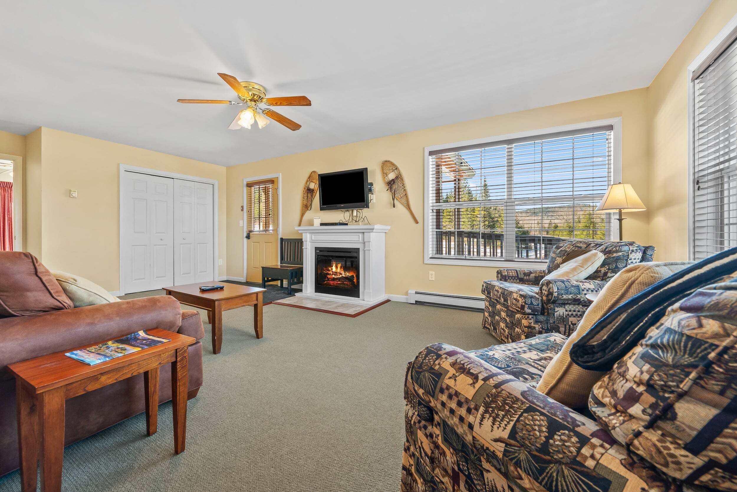 TV, fireplace
