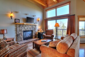 Televisión, chimenea y libros 