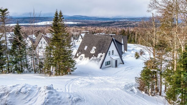 Un paisaje nevado con una casa rodeada de árboles.