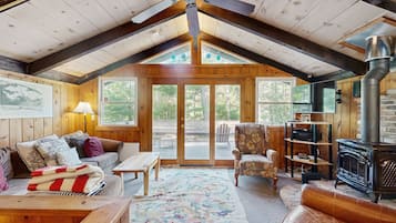 TV, fireplace, books