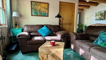Smart-TV, Kamin