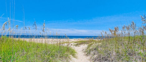 On the beach
