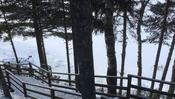 A wooden staircase leading down to a snowy area with trees and a clear sky. - Charming and Cozy, 4-Season, Fence Lake Cottage with Beautiful Sunset View (Lac du Flambeau)