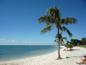 Sun-loungers, beach towels
