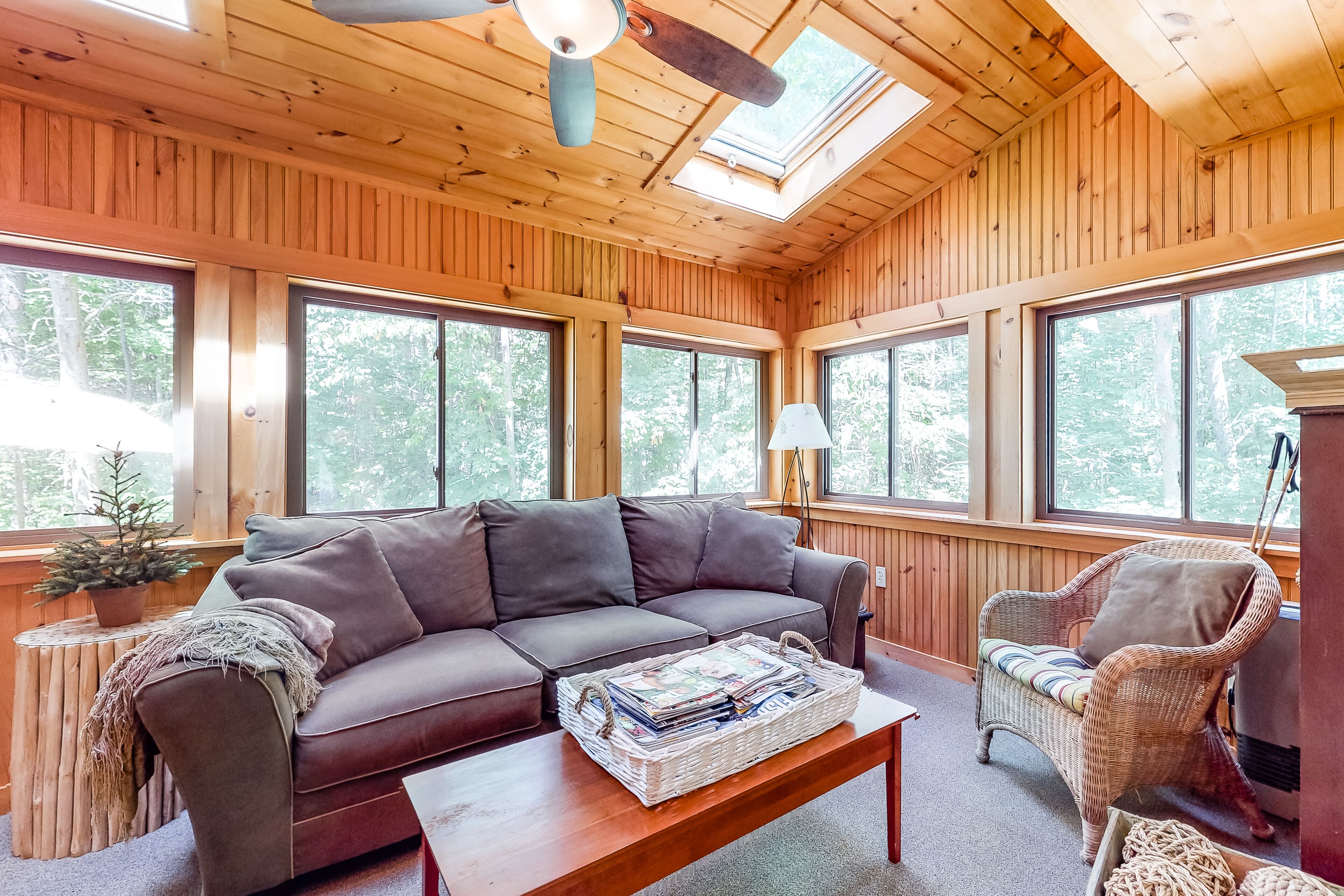 Televisión, chimenea, reproductor de DVD y tenis de mesa 