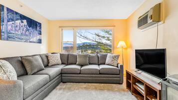 TV, fireplace, DVD player