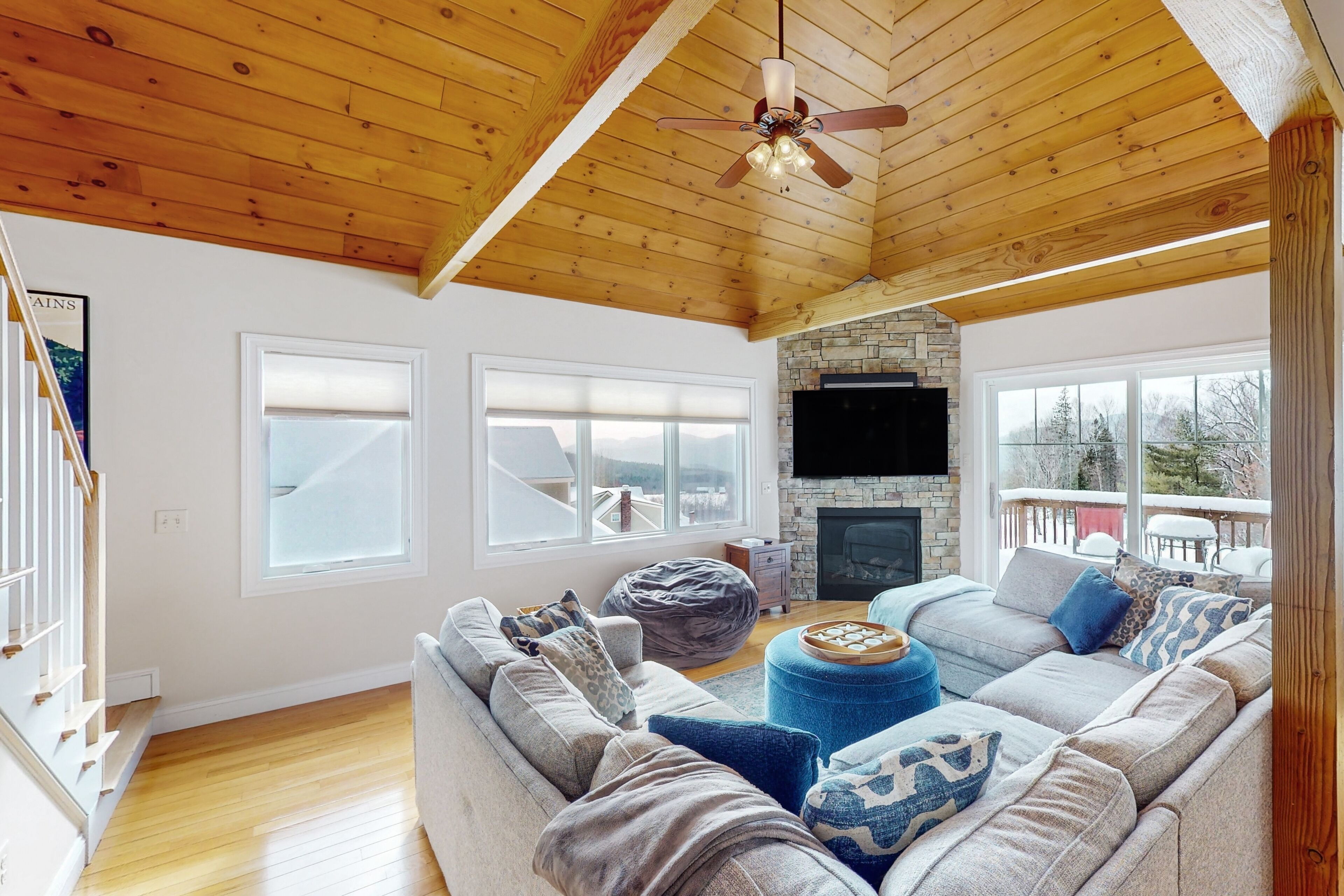 TV, fireplace, DVD player, books