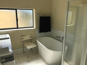 Bathtub, soap, toilet paper