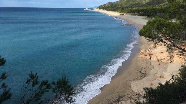 A coastal beach with clear blue waters and a sandy shore.
