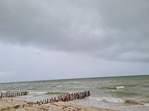 Beach nearby, sun loungers