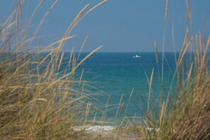 Una spiaggia nelle vicinanze