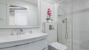 Shower, hair dryer, towels
