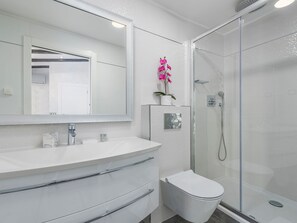 Shower, hair dryer, towels
