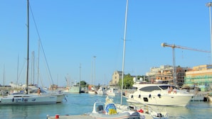 A marina with various boats docked, including sailboats and motorboats. - Sunny Stay in Tavullia Hills (Tavullia)