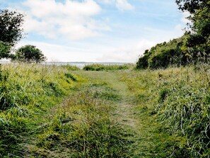 A natural landscape with a grassy path leading towards a body of water, surrounded by vegetation. - Holiday Home in JÃ¦gerspris (Jægerspris)