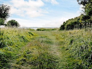 A natural landscape with a grassy path leading to a body of water. - Holiday Home in JÃ¦gerspris (Jægerspris)