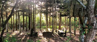 6 Person Holiday Home in Farvang