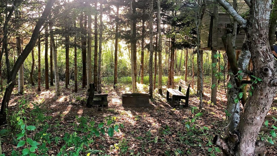 6 Person Holiday Home in Farvang