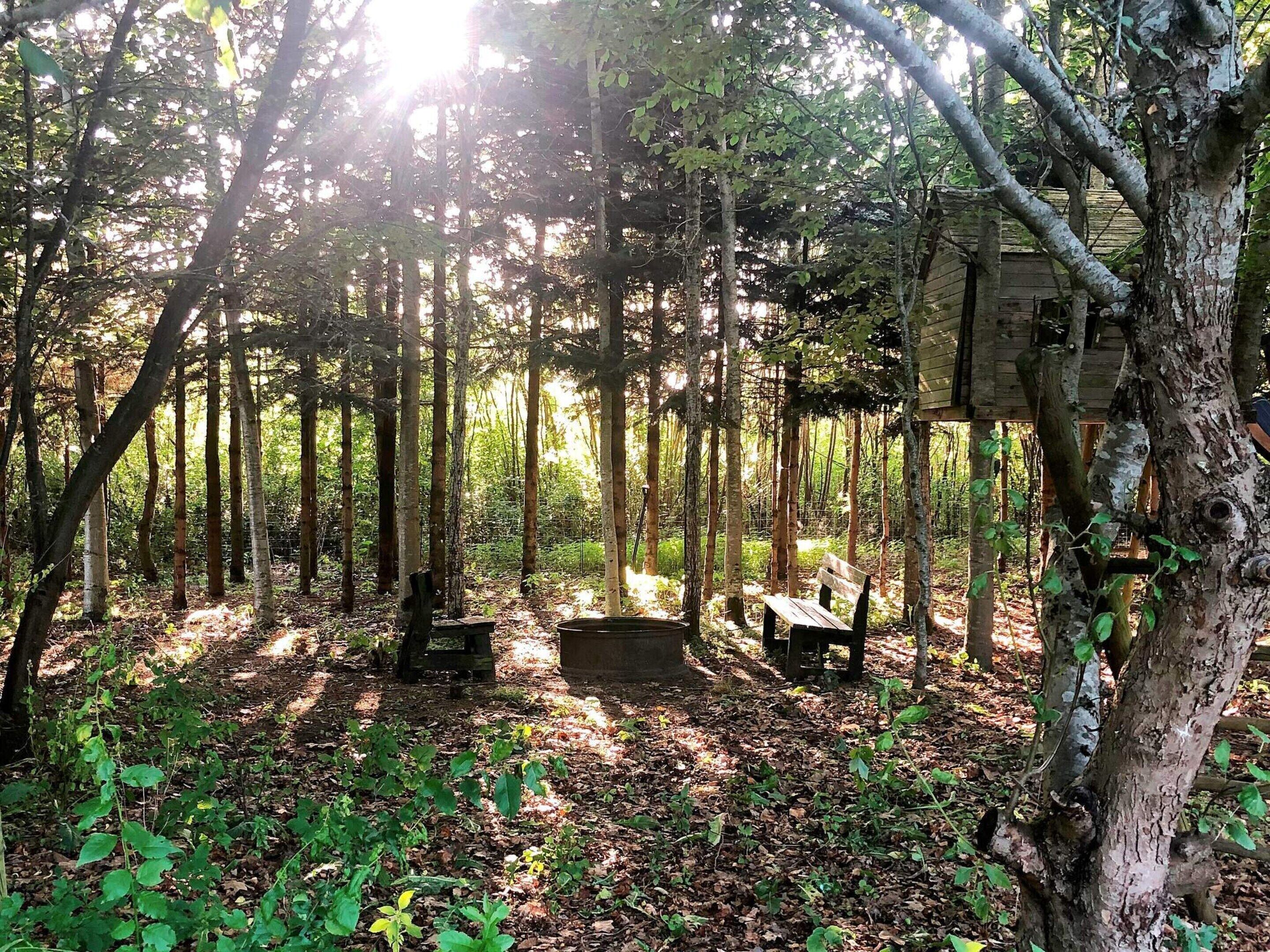 独立别墅 | 住宿景观