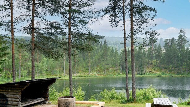 A rustic cabin with a wooden bench and picnic table by a lake surrounded by tall trees. - 6 Person Holiday Home in Torsby (Torsby)