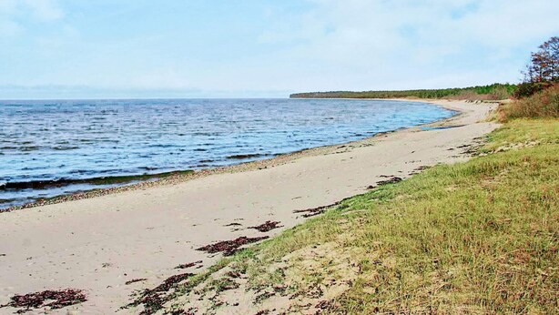 A beach with a sandy shore and grassy area. - 6 Person Holiday Home in Lottorp (Löttorp)