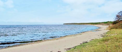 Casa | Vista desde la propiedad