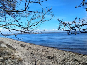A beach with clear blue water, pebbly shore, and bare tree branches. - 4 Person Holiday Home in Borkop (Borkop)