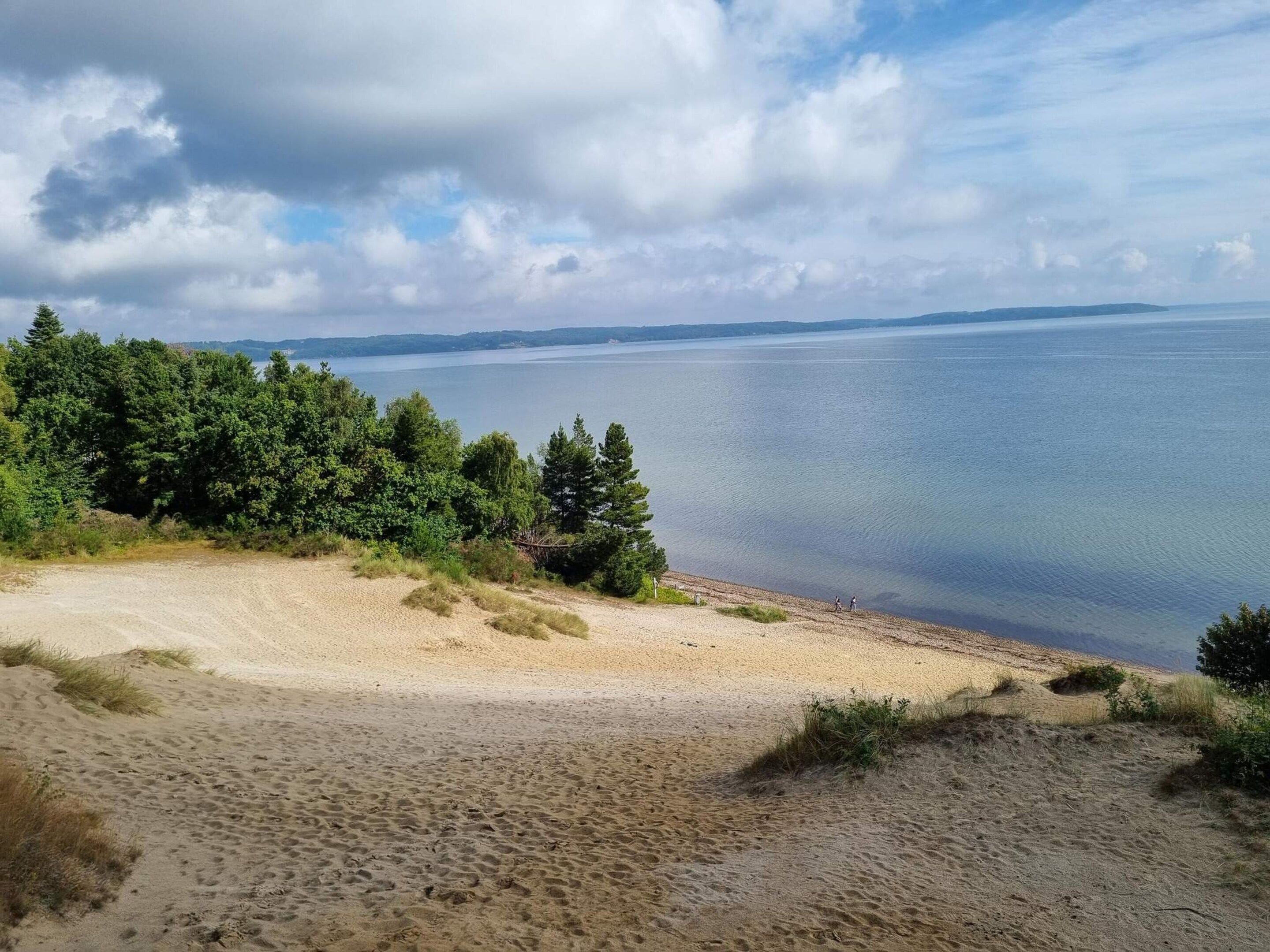 En strand med fri sikt över vattnet och det avlägsna landskapet, omgiven av träd.