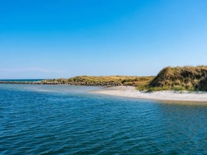 A coastal landscape with a sandy beach and dunes.