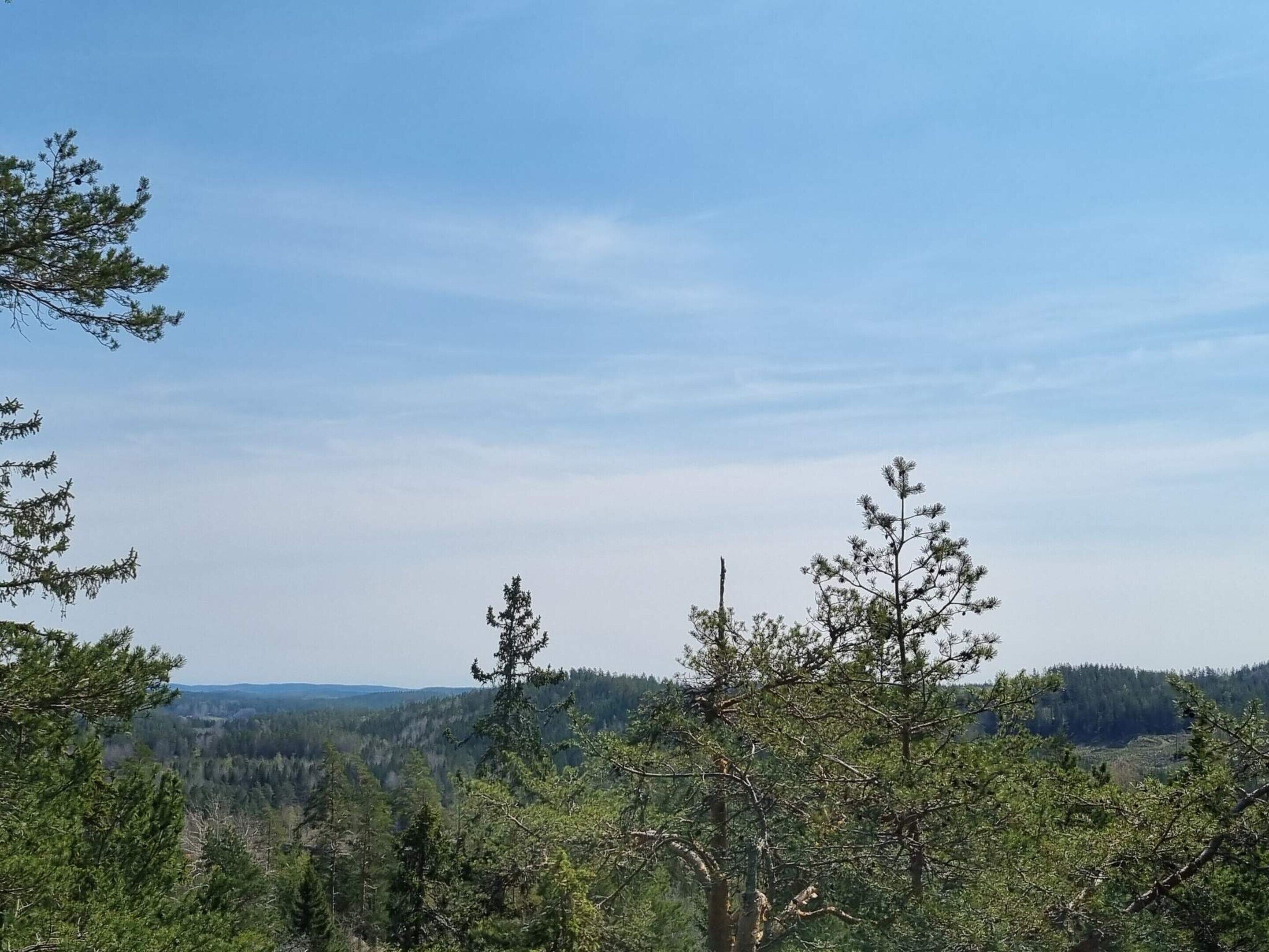 A forested landscape with clear skies.