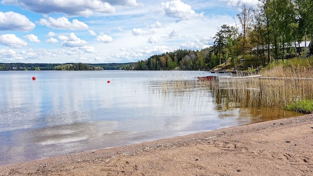 A calm lake with a sandy shore, surrounded by trees and a distant forest. - 2 Person Holiday Home in Rimforsa (Rimforsa)