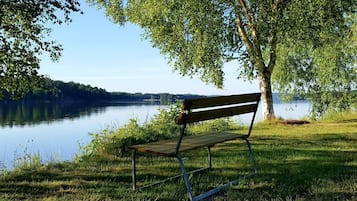 A bench by a lake with a tree providing shade.