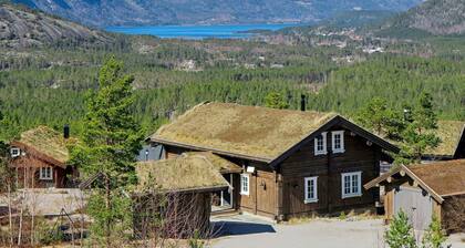 15 Person Holiday Home in Treungen