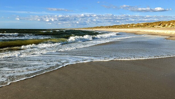 Ein Strand mit sanft rauschenden Wellen, einem klaren Himmel und einer entfernten Hügellandschaft.
