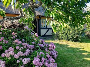 Hús | Fyrir utan