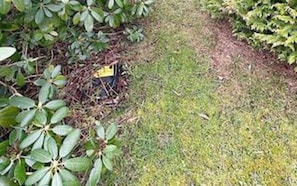 A pathway bordered by green foliage and a yellow sign. - Holiday Home in Væggerløse (Vaeggerlose)