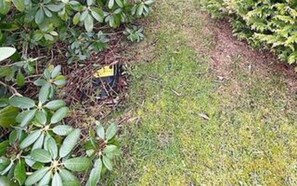 Un sentier bordé de verdure et agrémenté d’un panneau jaune.