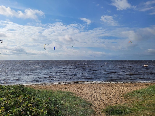 A beach with a view of the sea and sky, featuring a sandy shore and some vegetation.