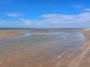 A beach with clear water, sandy shore, and a distant horizon. - 6 Person Holiday Home in Blavand (Blavand)