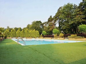 Relax by the serene pool surrounded by lush greenery and tall trees.