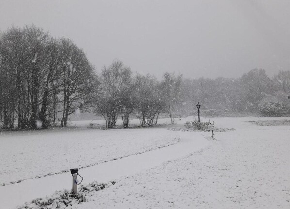 A snowy landscape with trees and a lamp post.