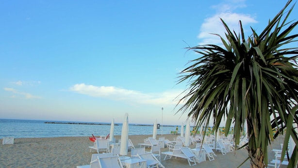 A beach with white lounge chairs and a palm tree. - Holiday Home Near Urbino & Beaches (Tavullia)