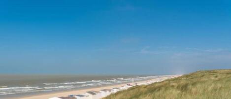 Una playa con cabañas blancas y una colina con hierba en primer plano.