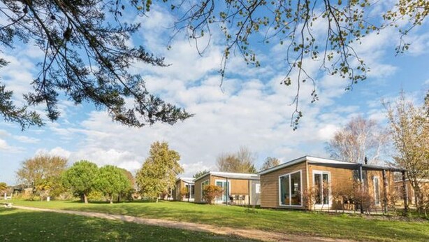 Una casa moderna con un amplio césped y árboles al fondo.