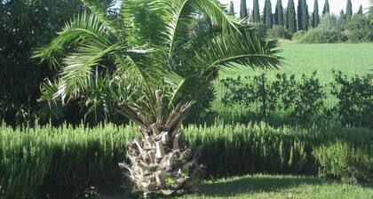 Holiday Home with Nicely Decorated Interior near Lake Garda