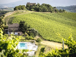 Viñedo con hileras de vides, una casa en la colina y una zona de piscina.