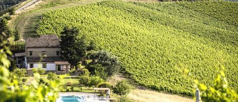 Apartment | Pool | Außenpool