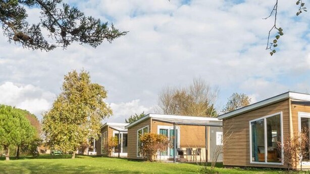 A row of modern, single-story cabins with large windows, surrounded by a grassy area and trees. - Cozy Chalet at Holiday Park Fort den Haak (Vrouwenpolder)