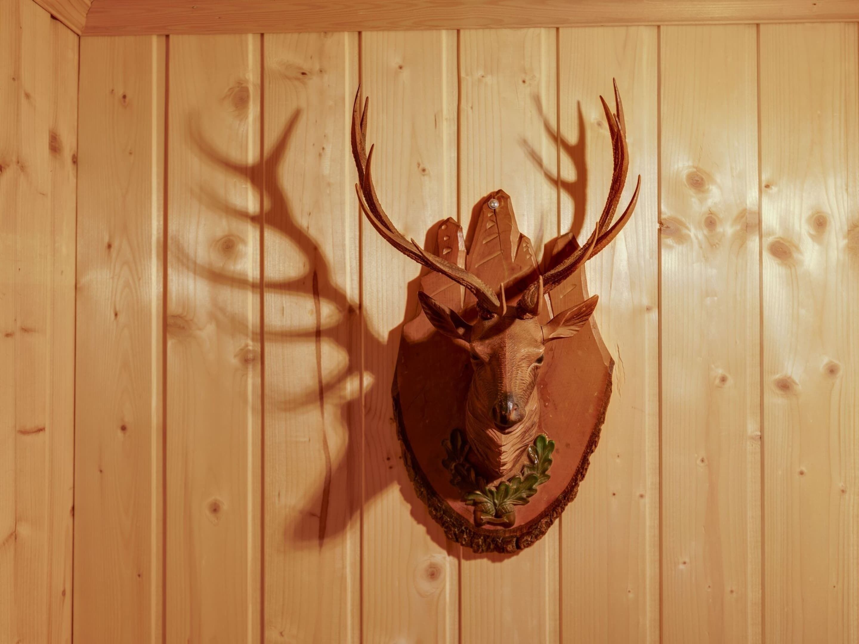 A wooden wall with a mounted deer head sculpture.